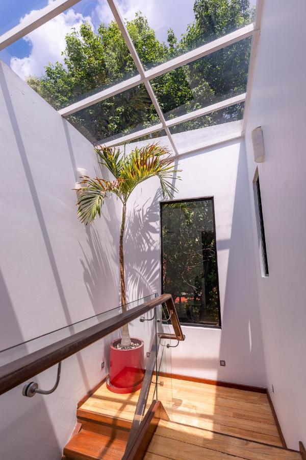 Casa Blanca In Coyoacan Ciudad de México Exteriér fotografie